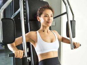 明星健身房,健身潮流与明星风采的完美融合